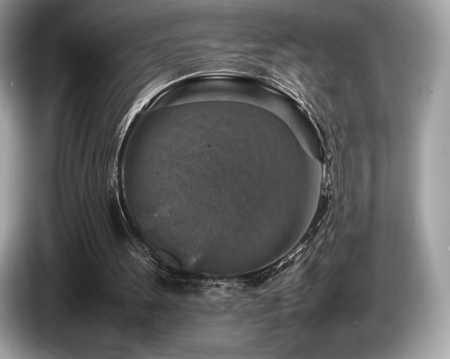 X0000087050099200704181245