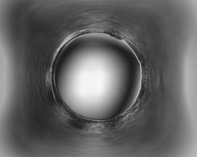 X0000087050100200704181245