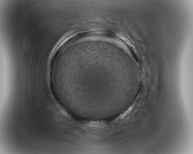 X0000087050101200704181245