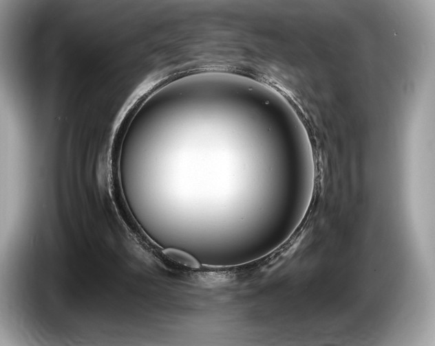 X0000087050102200704181245