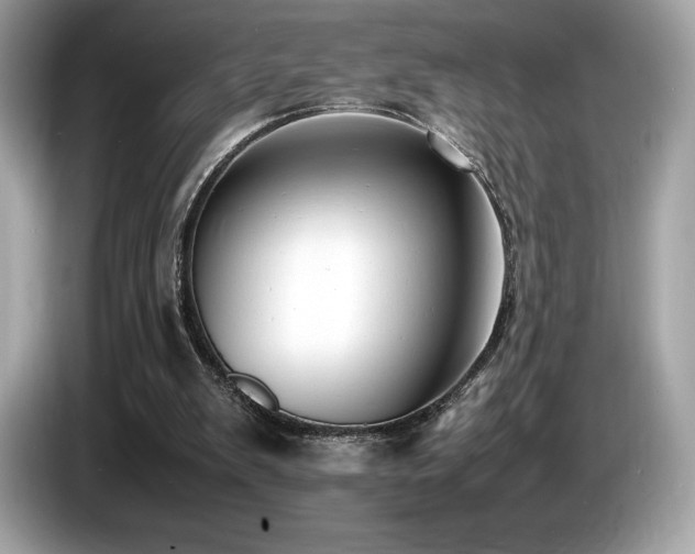 X0000087050103200704181245