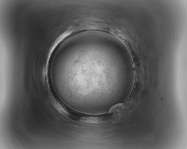 X0000087050104200704181245