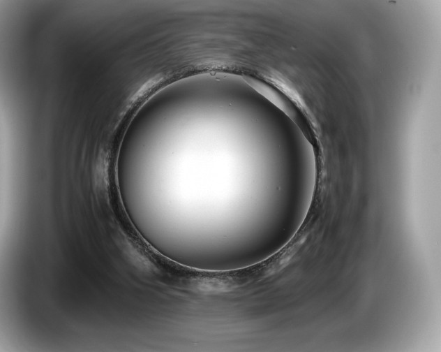 X0000087050106200704181245