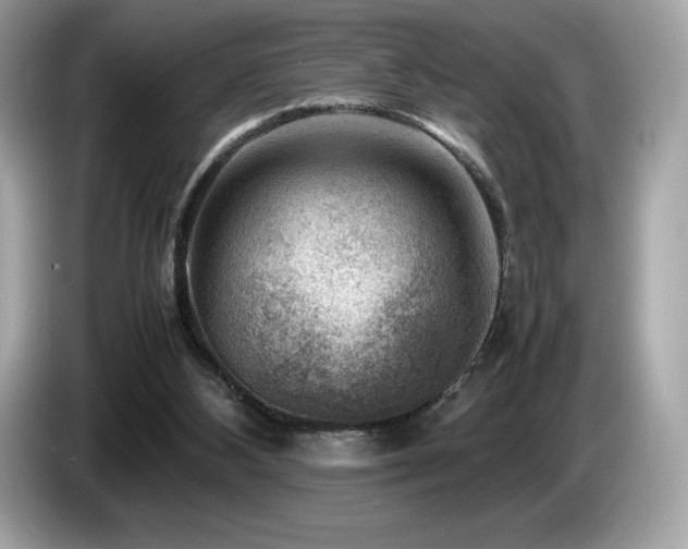 X0000087050108200704181245