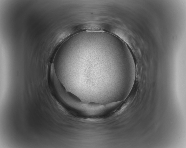 X0000087050109200704181245