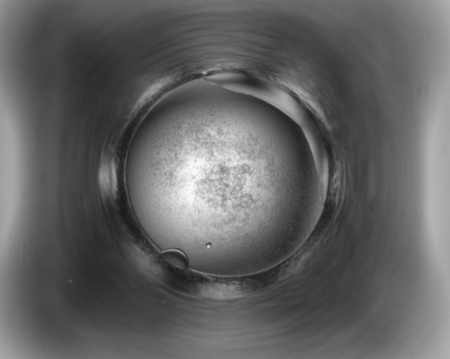 X0000087050110200704181245