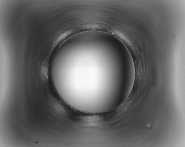 X0000087050112200704181245