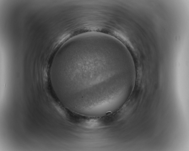 X0000087050114200704181245