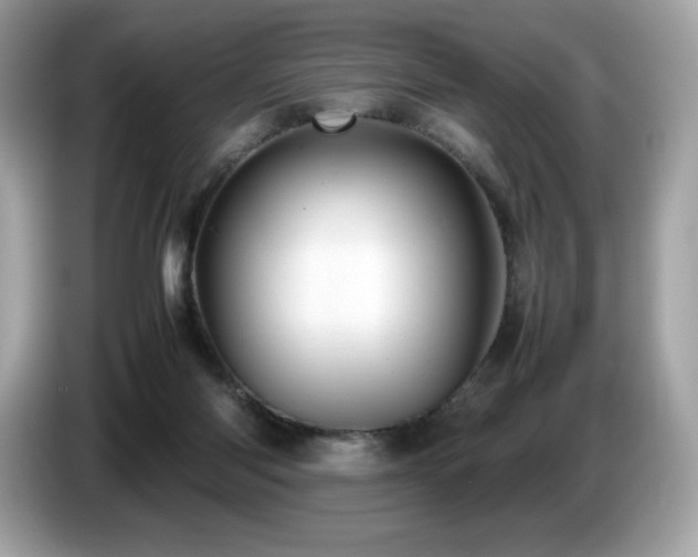 X0000087050118200704181245