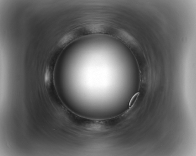 X0000087050124200704181245