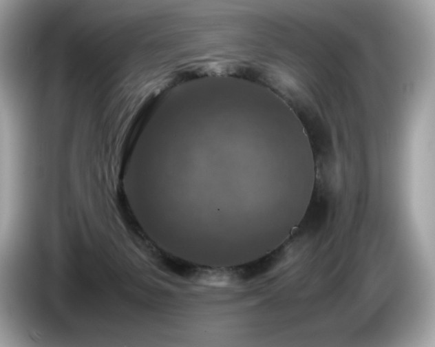 X0000087050127200704181245