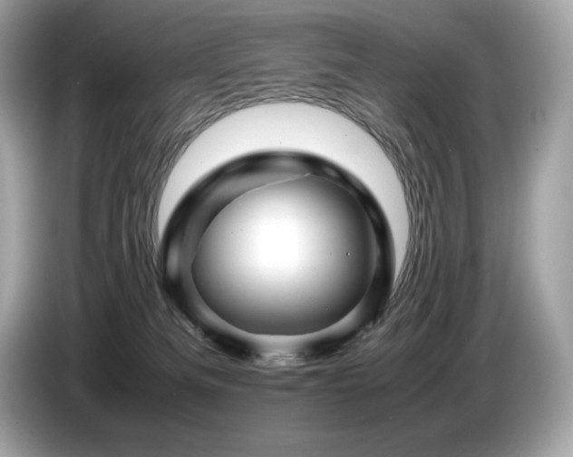 X0000087050133200704181245