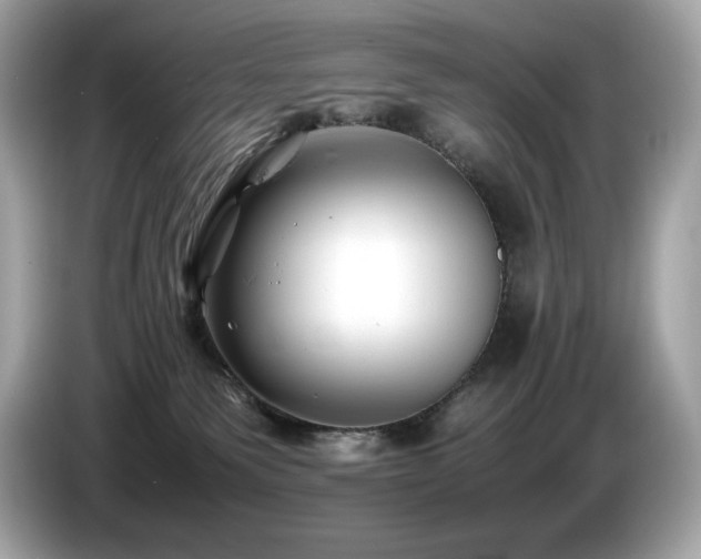 X0000087050135200704181245