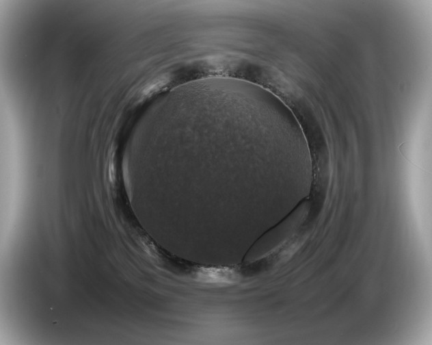 X0000087050137200704181245