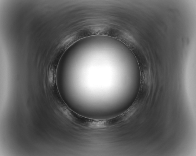 X0000087050138200704181245
