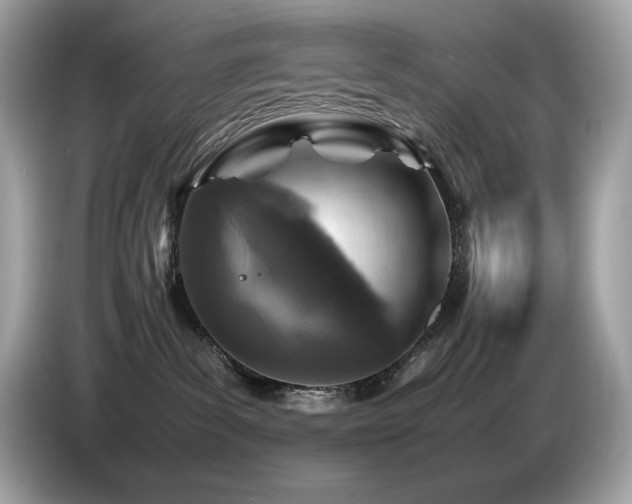 X0000087050139200704181245