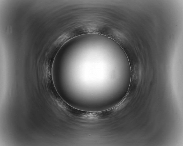 X0000087050140200704181245