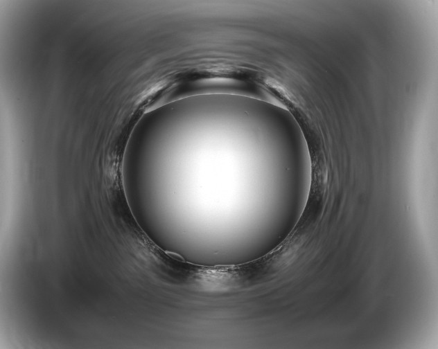 X0000087050141200704181245