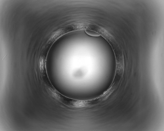 X0000087050142200704181245