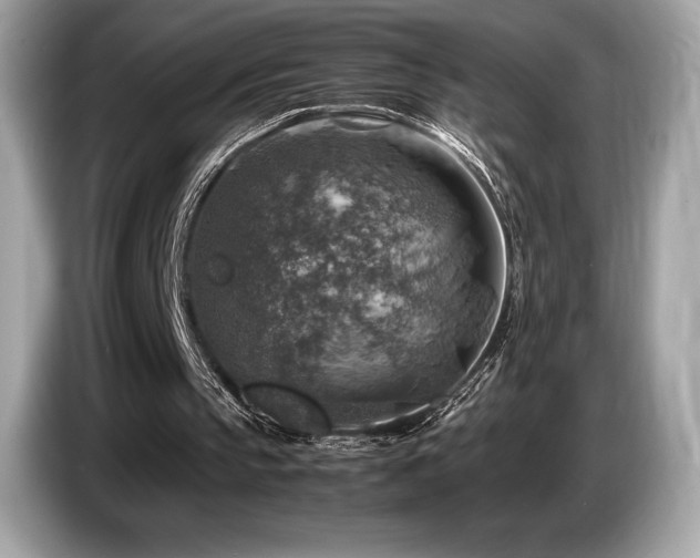 X0000087050145200704181244