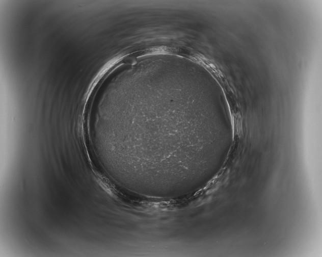 X0000087050147200704181244