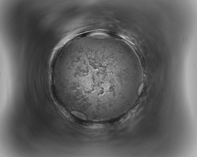 X0000087050149200704181244