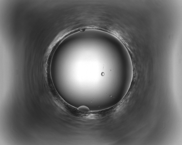 X0000087050151200704181244