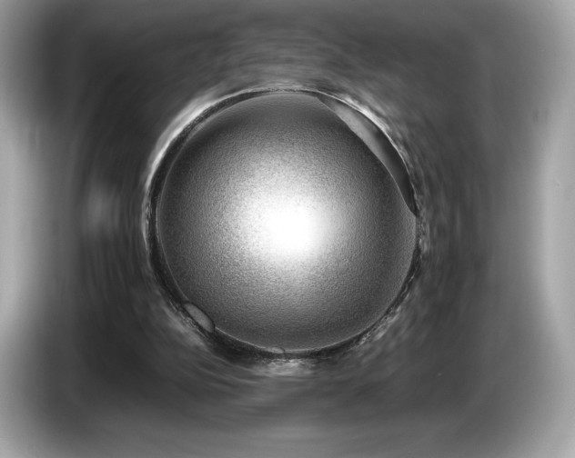 X0000087050152200704181244