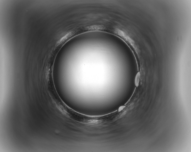 X0000087050153200704181244