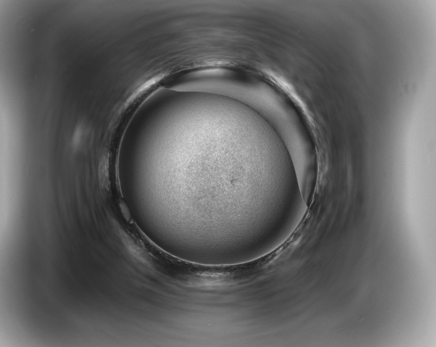 X0000087050154200704181244