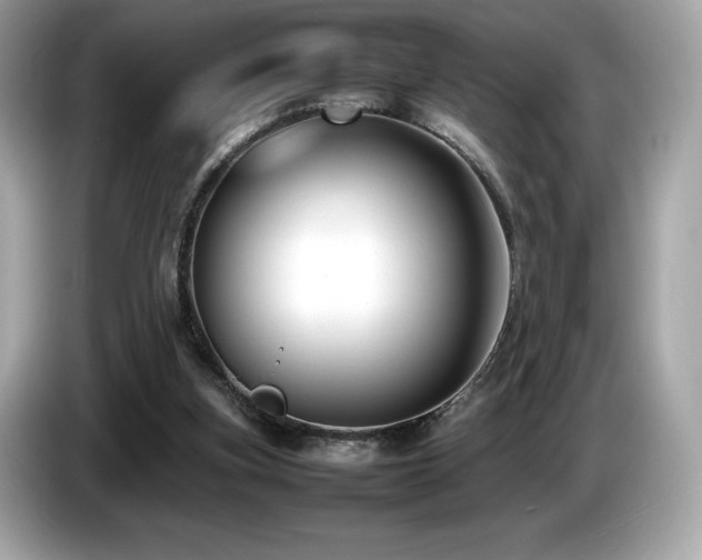 X0000087050155200704181244