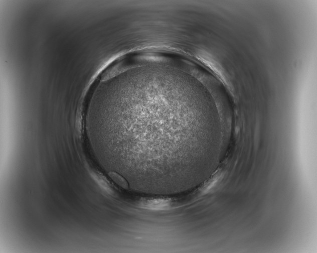 X0000087050156200704181244