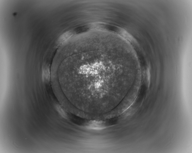 X0000087050158200704181244