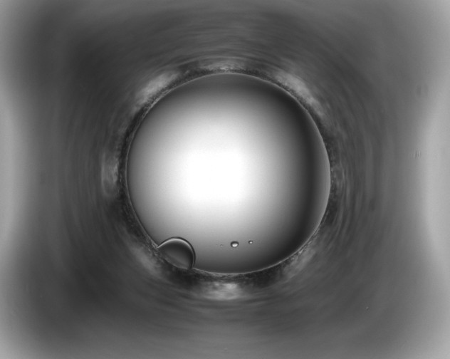 X0000087050159200704181244