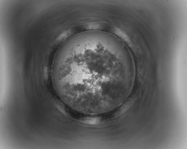 X0000087050161200704181244