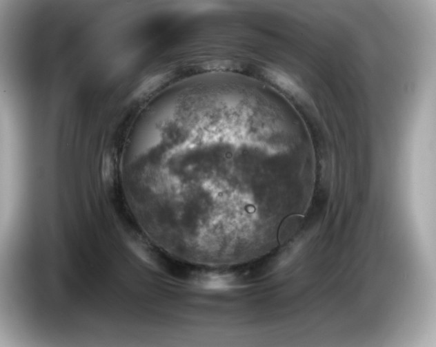 X0000087050165200704181244