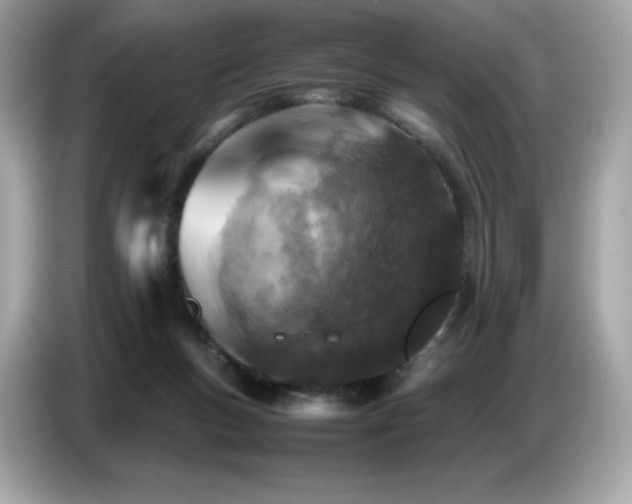 X0000087050167200704181244