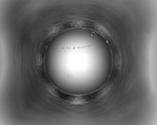 X0000087050173200704181245