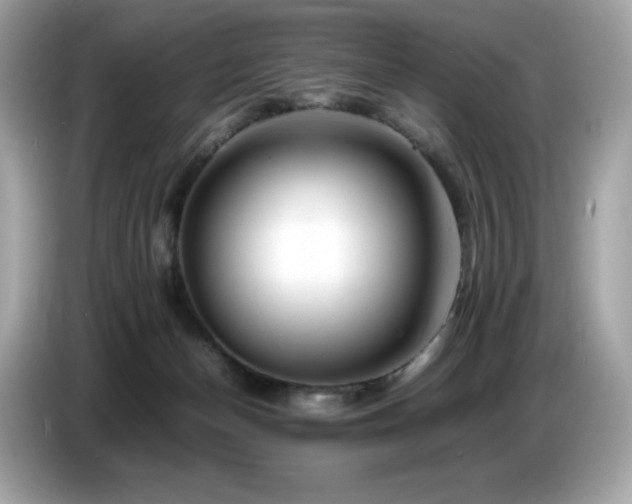 X0000087050174200704181245