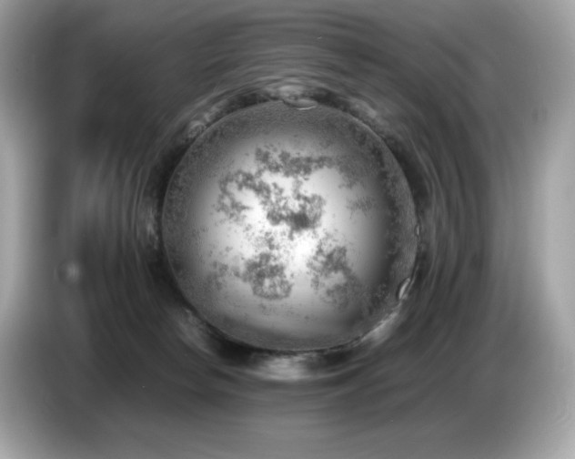 X0000087050178200704181245