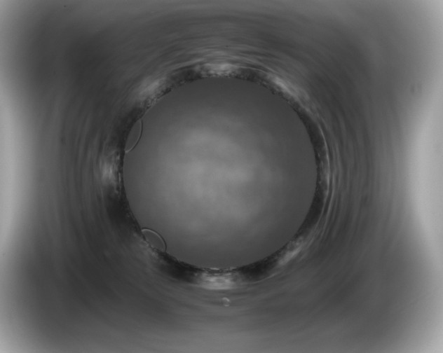 X0000087050181200704181245