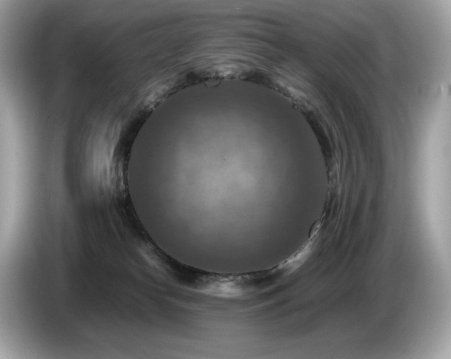 X0000087050182200704181245