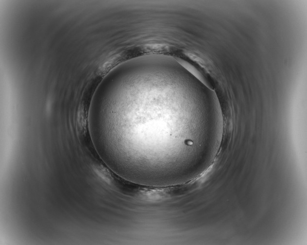 X0000087050186200704181245