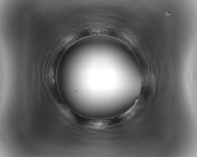 X0000087050187200704181245