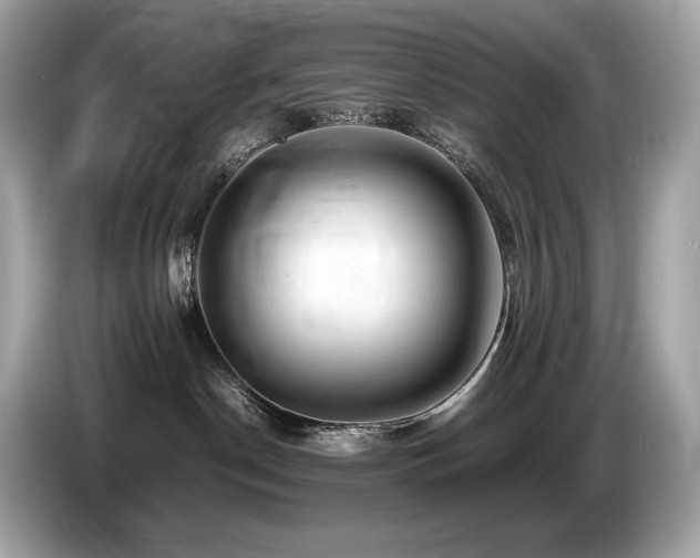 X0000087050190200704181245