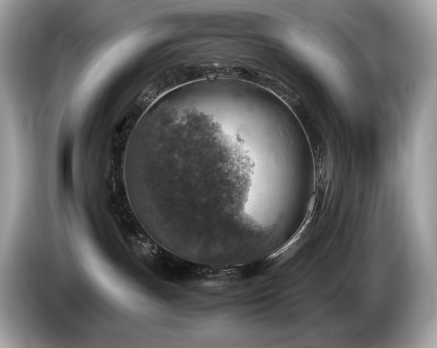 X0000087050191200704181245