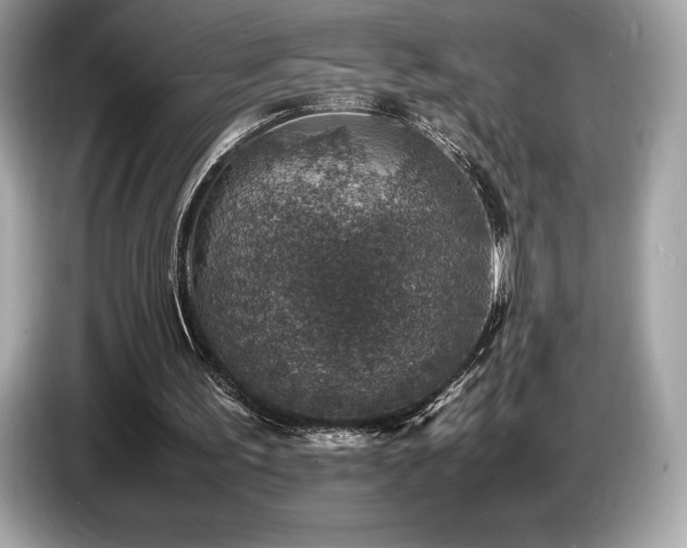 X0000087050195200704181244