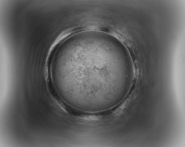 X0000087050198200704181244