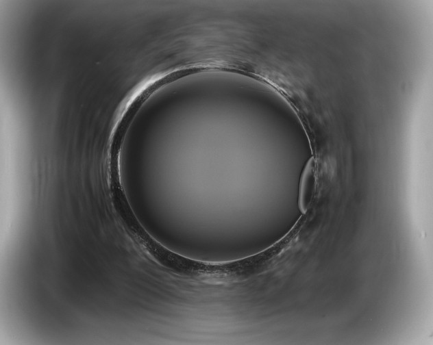 X0000087050200200704181244