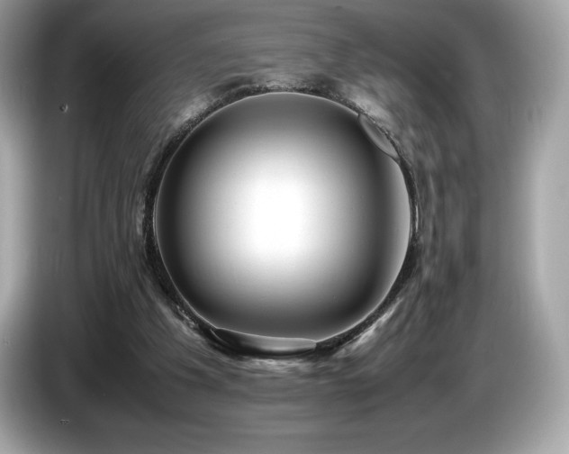 X0000087050201200704181244